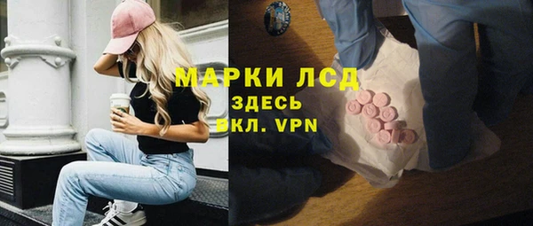 шишки Дмитриев