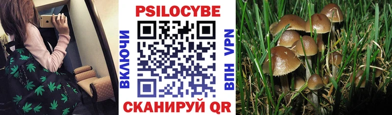 Псилоцибиновые грибы Magic Shrooms Заволжск