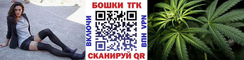 Купить закладки  Заволжск  Бошки Шишки сатива 